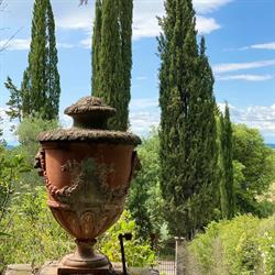 Fattoria Il Melarancio - Agresto