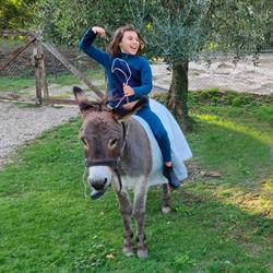 Il Muretto az. agricola, agriturimo, ristorante