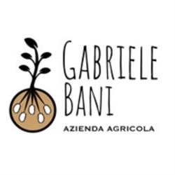 Azienda Agricola Gabriele Bani