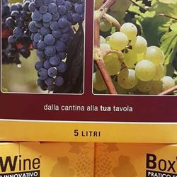 Vignaiuoli TOTI