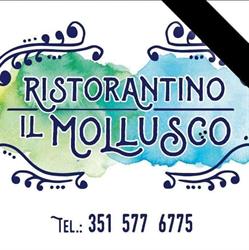 Il Mollusco