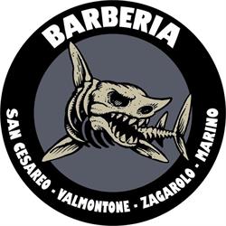 Barberia Zagarolo Barba & Capelli