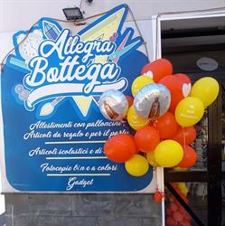 Allegra Bottega