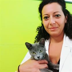 Ambulatorio Veterinario Dott.ssa Calascibetta Giovanna