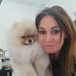 RoyalDog Toelettatura professionale & self service