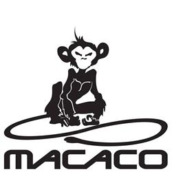 Macaco Climbing Gym