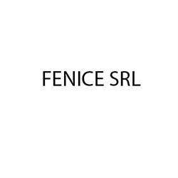 Fenice Srl - Ingegneria e Project Management