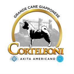 Allevamento Corteleoni - Akita Americano - Bracciano (Roma)