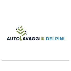 AUTOLAVAGGIO DEI PINI