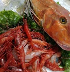 Pescheria da Fiorella