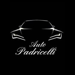 Soccorso stradale Padricelli - Autofficina Padricelli Car service