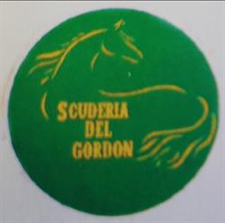 Scuderia del Gordon A.S.D.