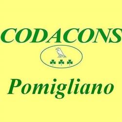 Codacons