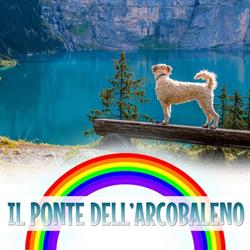 Il ponte dell'arco baleno