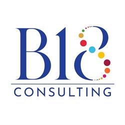 B18 CONSULTING SRL