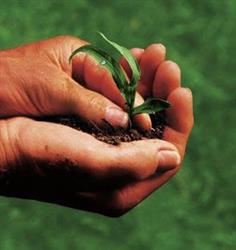 Azienda Agricola Tognin Diego