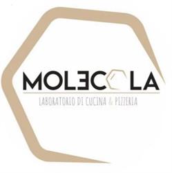 Molecola