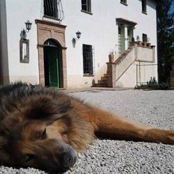 Agriturismo Countryhouse L'Ariete