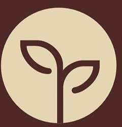 Evergreen Caffetteria Pizzeria