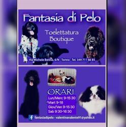 Toelettatura Fantasia di Pelo Di Valentina