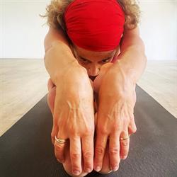 Ashtanga Yoga Perugia