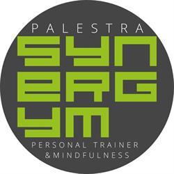 Palestra Synergym e personal