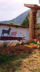 Agriturismo Agripig