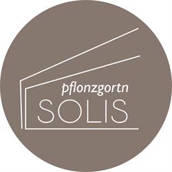 Pflonzgortn Solis