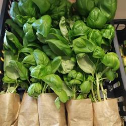 Alimentari Le Cinque Vie