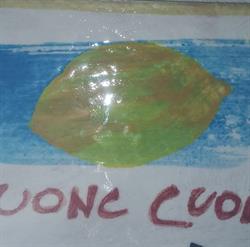 Cuonc Cuonc