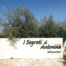 I Segreti di Antonina
