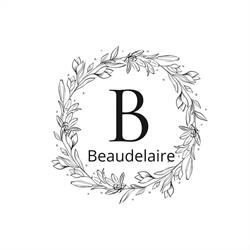 Beaudelaire Il Calzolaio