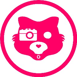 plastikwombat - Foto&Video