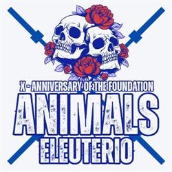 Animals Eleuterio Fitness - Bolognetta