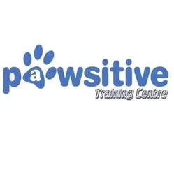 X-PLORER PAWSITIVE