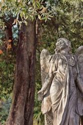 Cimitero Britannico di Napoli