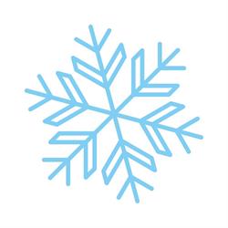 Real Ice - Ghiaccio alimentare confezionato