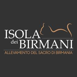 Allevamento Sacro di Birmania