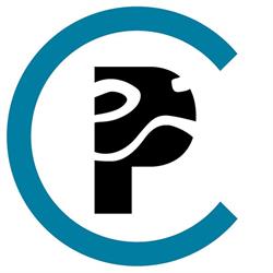 Polesine Consulting Srl