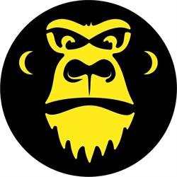 Moonkey Urban Primate