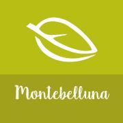 La Saponaria - Biostorie Montebelluna