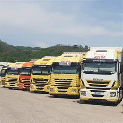 Galdo Trasporti Srl