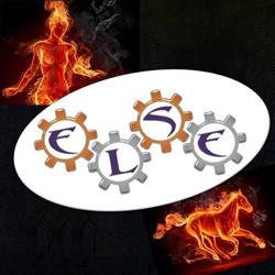 ELSE SRL