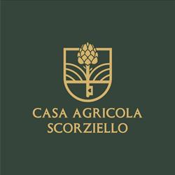 Casa Agricola Scorziello