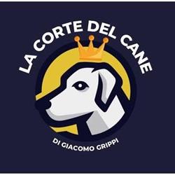 La Corte del Cane di Giacomo Grippi