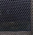 Rete Zanzariera Antigraffio Petscreen