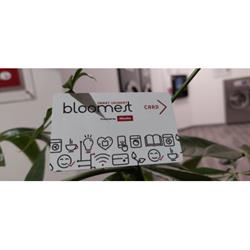 Lavanderia Bloomest