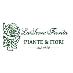 La Serra Fiorita Addobbi Floreali e Servizi Funebri
