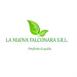 La Nuova Falconara Srl