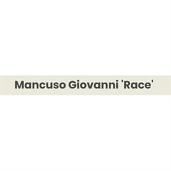 Honda Service Palermo Mancuso Race